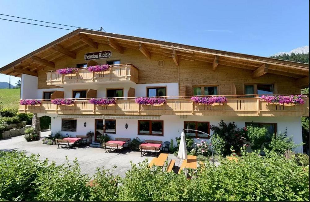 Pension Aloisia Scheffau am Wilden Kaiser Kültér fotó