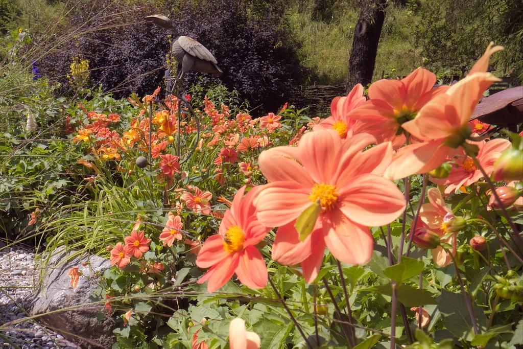 Pension Aloisia Scheffau am Wilden Kaiser Kültér fotó
