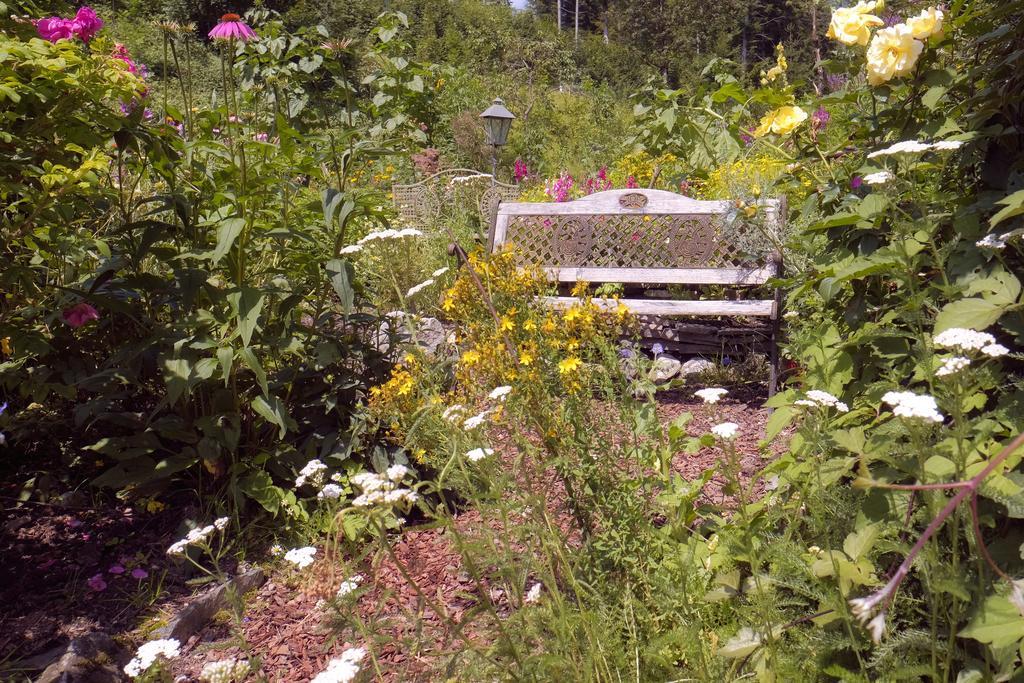 Pension Aloisia Scheffau am Wilden Kaiser Kültér fotó