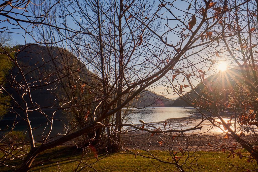 Pension Aloisia Scheffau am Wilden Kaiser Kültér fotó
