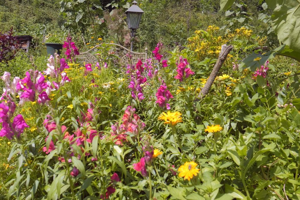 Pension Aloisia Scheffau am Wilden Kaiser Kültér fotó