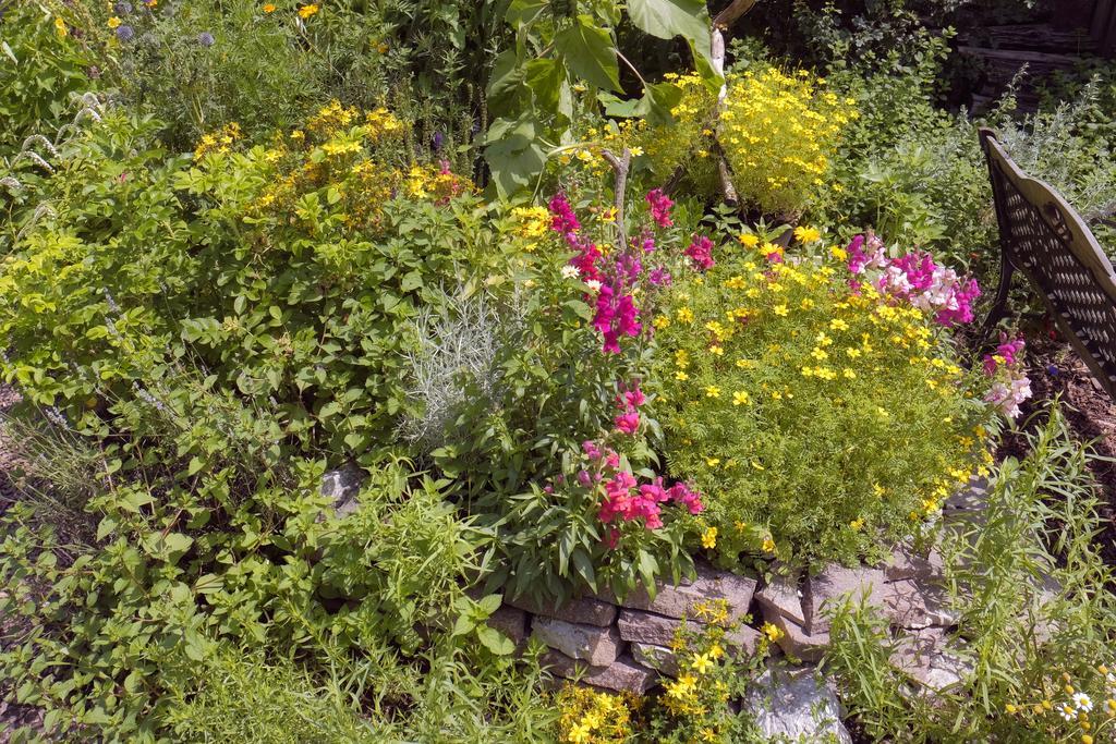 Pension Aloisia Scheffau am Wilden Kaiser Kültér fotó