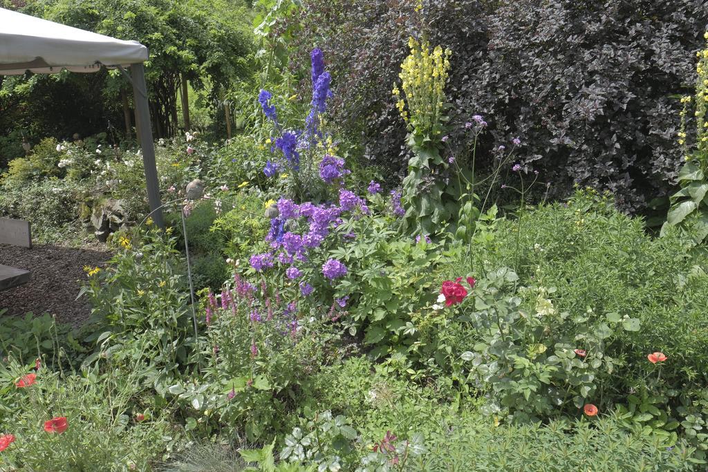 Pension Aloisia Scheffau am Wilden Kaiser Kültér fotó