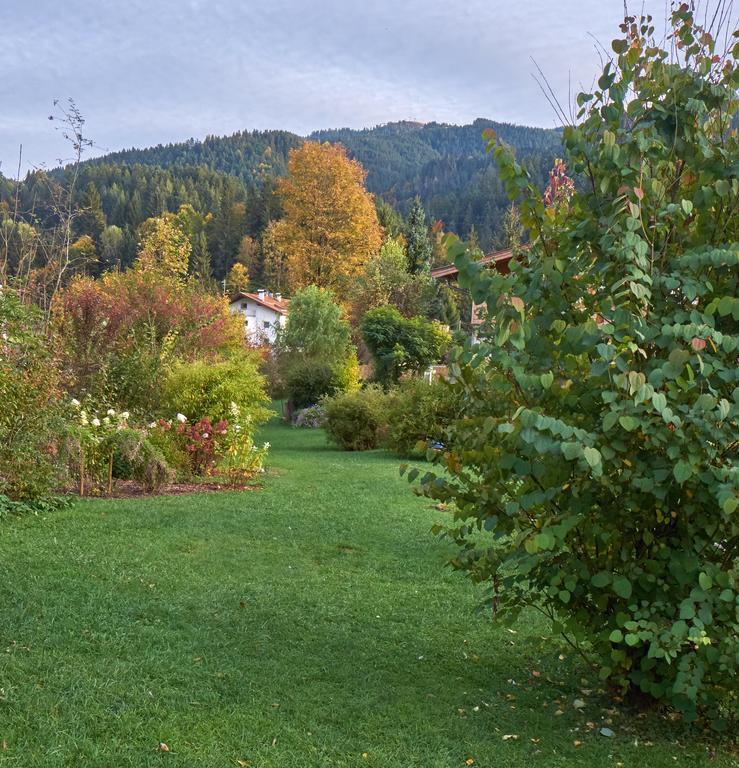 Pension Aloisia Scheffau am Wilden Kaiser Kültér fotó